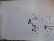 Vědecké studie hmyzu...